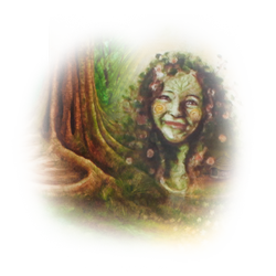 Nandita's Dream Meditation