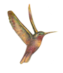 humming bird