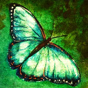 Picture of Butterfly