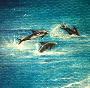 Picture of Dolphins