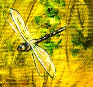 Picture of Dragonfly