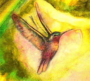 Picture of Hummingbird