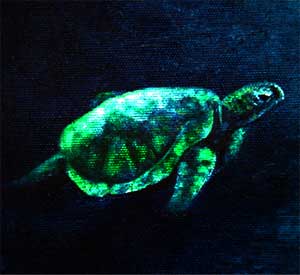 Picture of Turtle